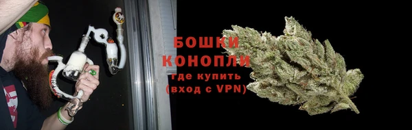 амф Богородицк