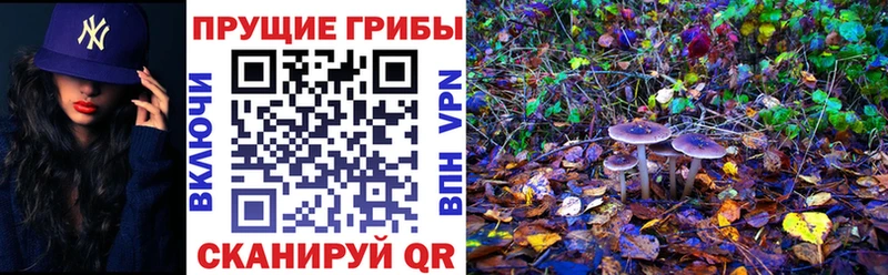 hydra ссылка хочу наркоту Каменка Галлюциногенные грибы ЛСД